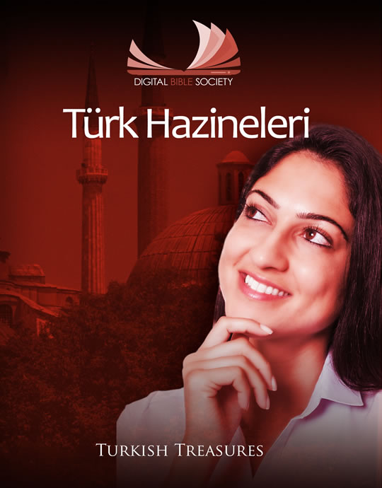 Turkish Treasures Cover